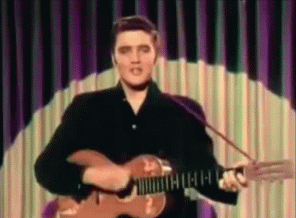 elvis presley